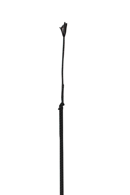 Wonder Whip Dressage Whip