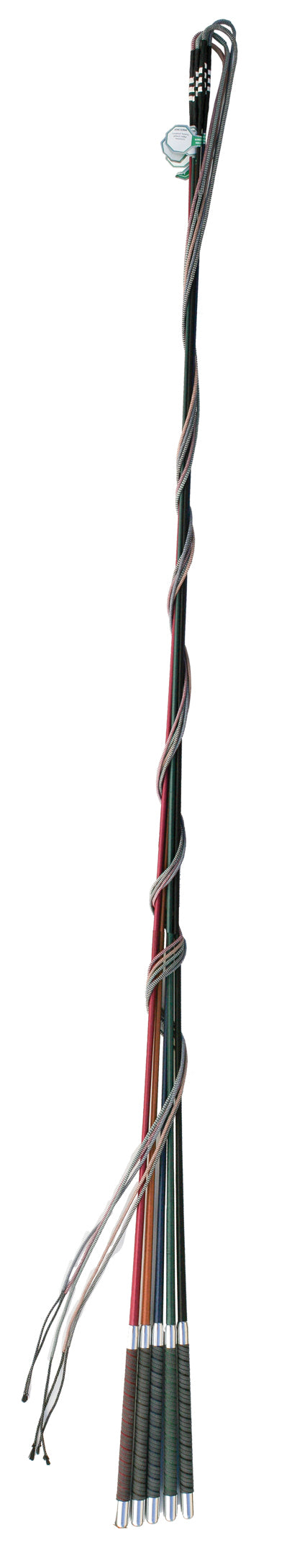 Fleck Color Lunge Whip