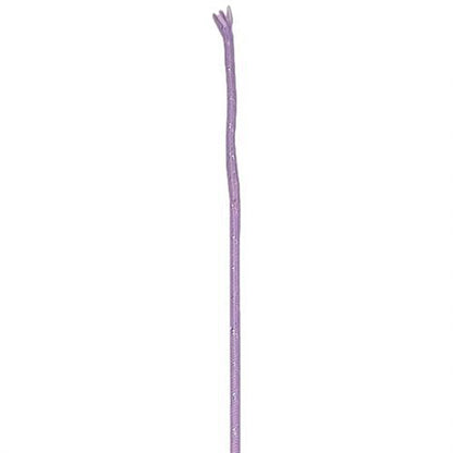Fleck Sparkle Dressage Whip