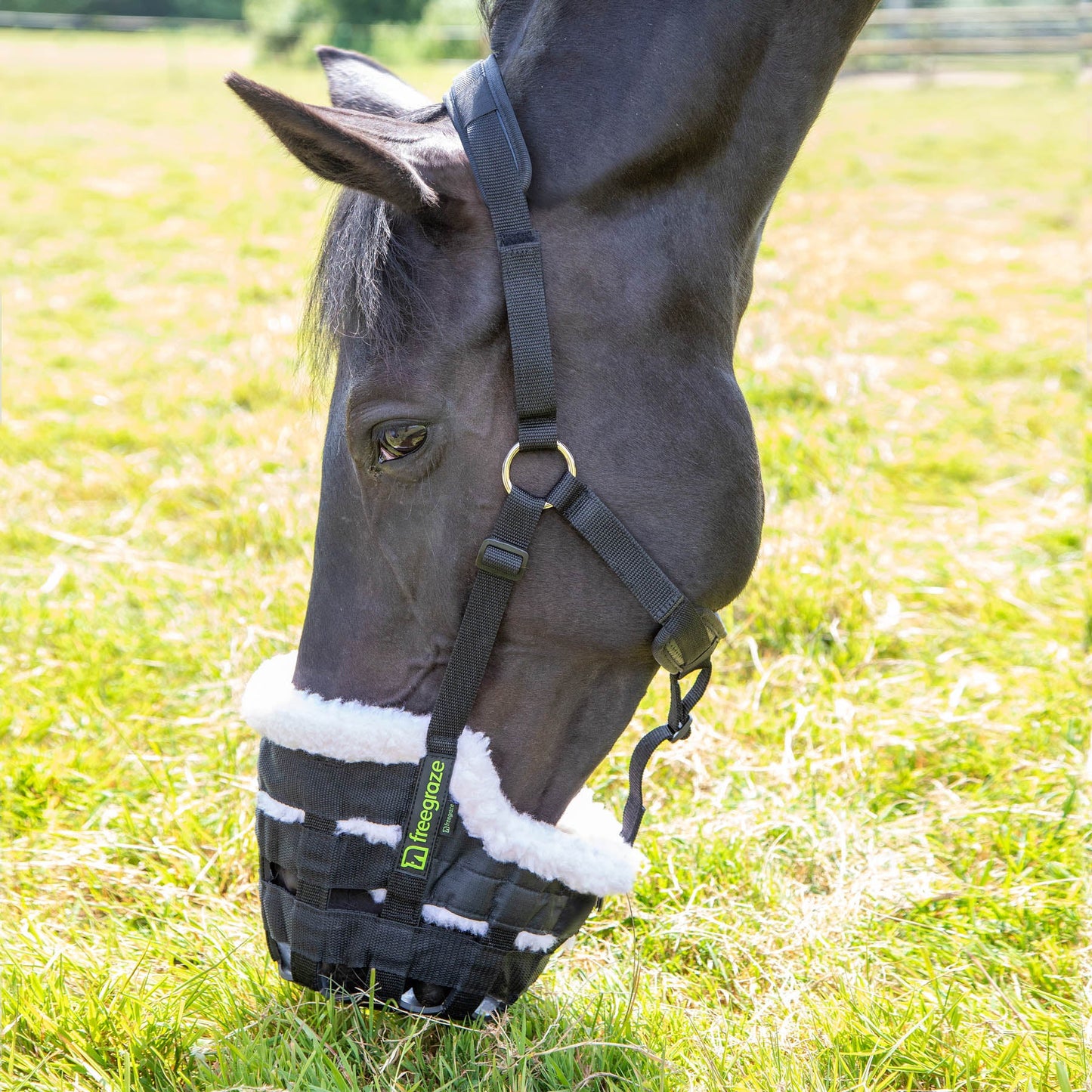 Shires FreeGraze Deluxe Comfort Grazing Muzzle