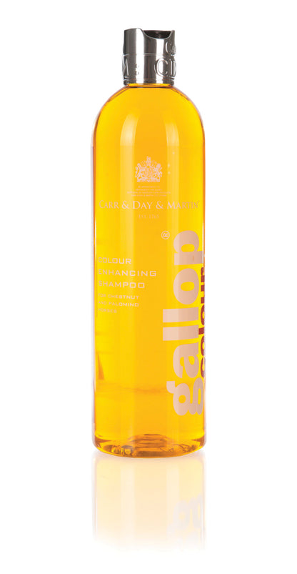Carr & Day & Martin Gallop Colour Enhancing Shampoo