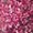 Twinkle Ultra Fine Horse Glitter