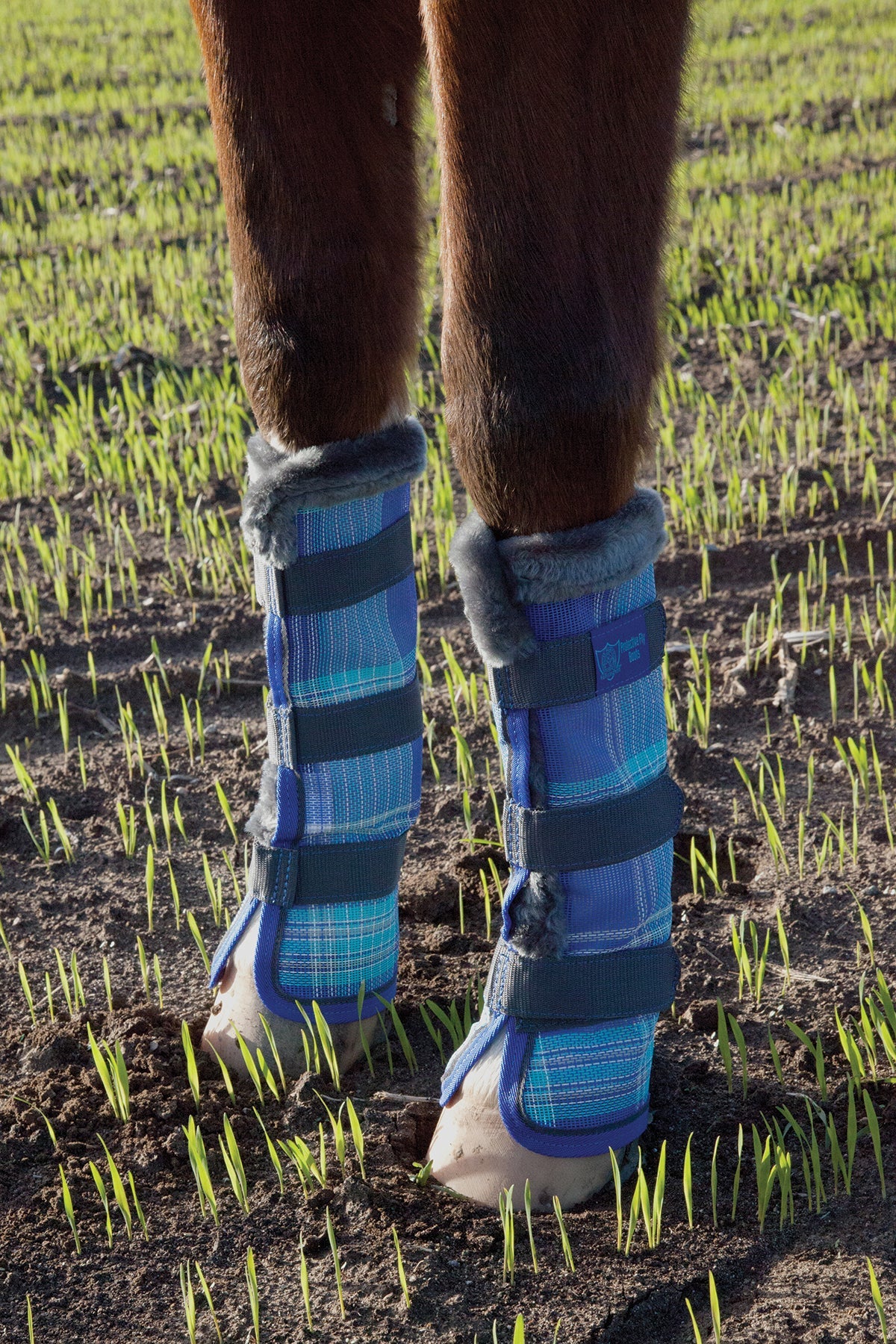 Kensington Fly Boots with Fleece Trim (Pair)