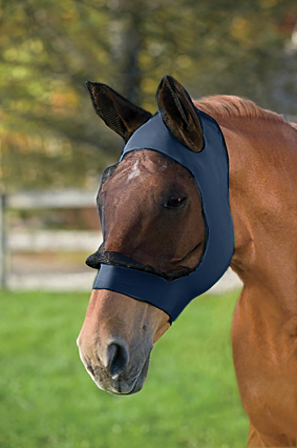 WeatherBeeta Stretch Eye Saver with Ears