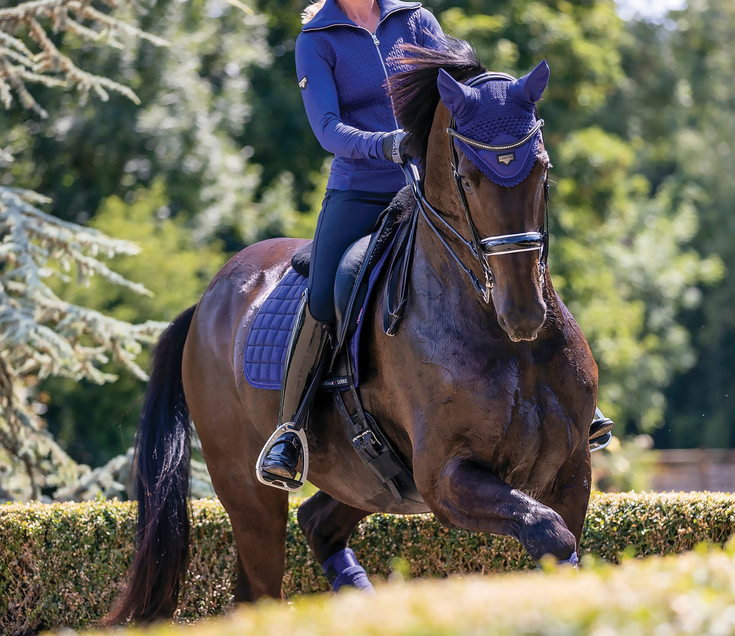 LeMieux Loire Satin Fly Bonnet