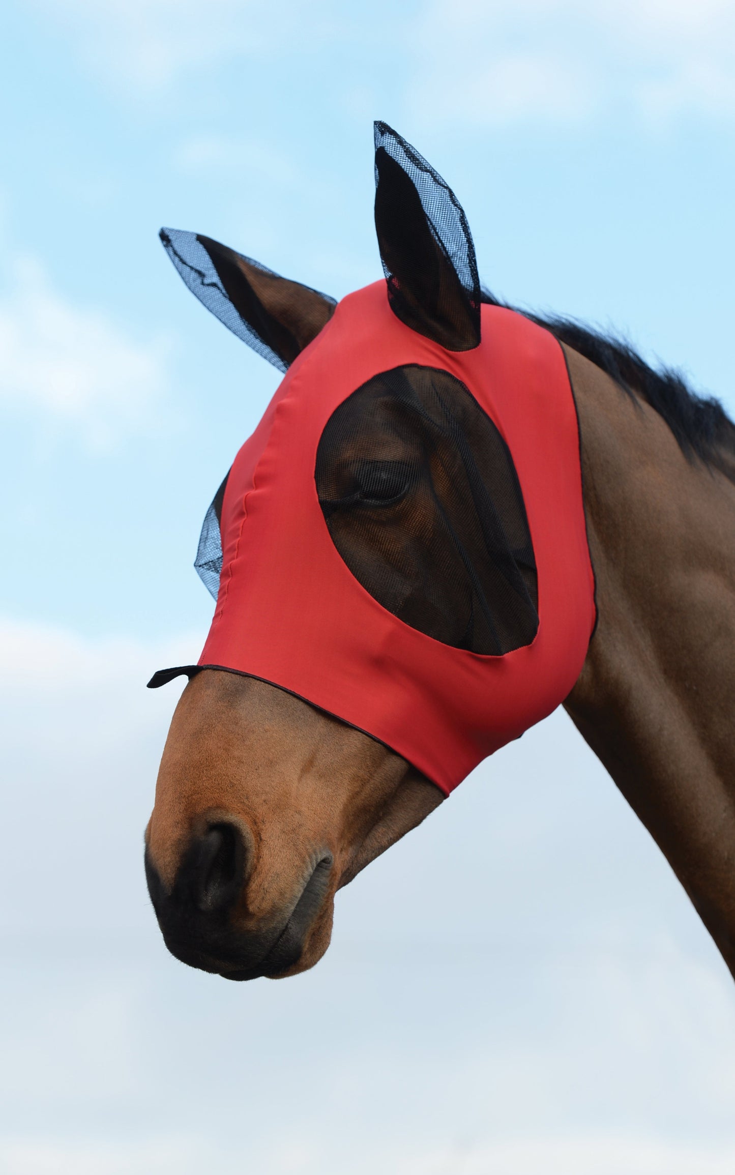 WeatherBeeta Stretch Bug Eye Saver with Ears