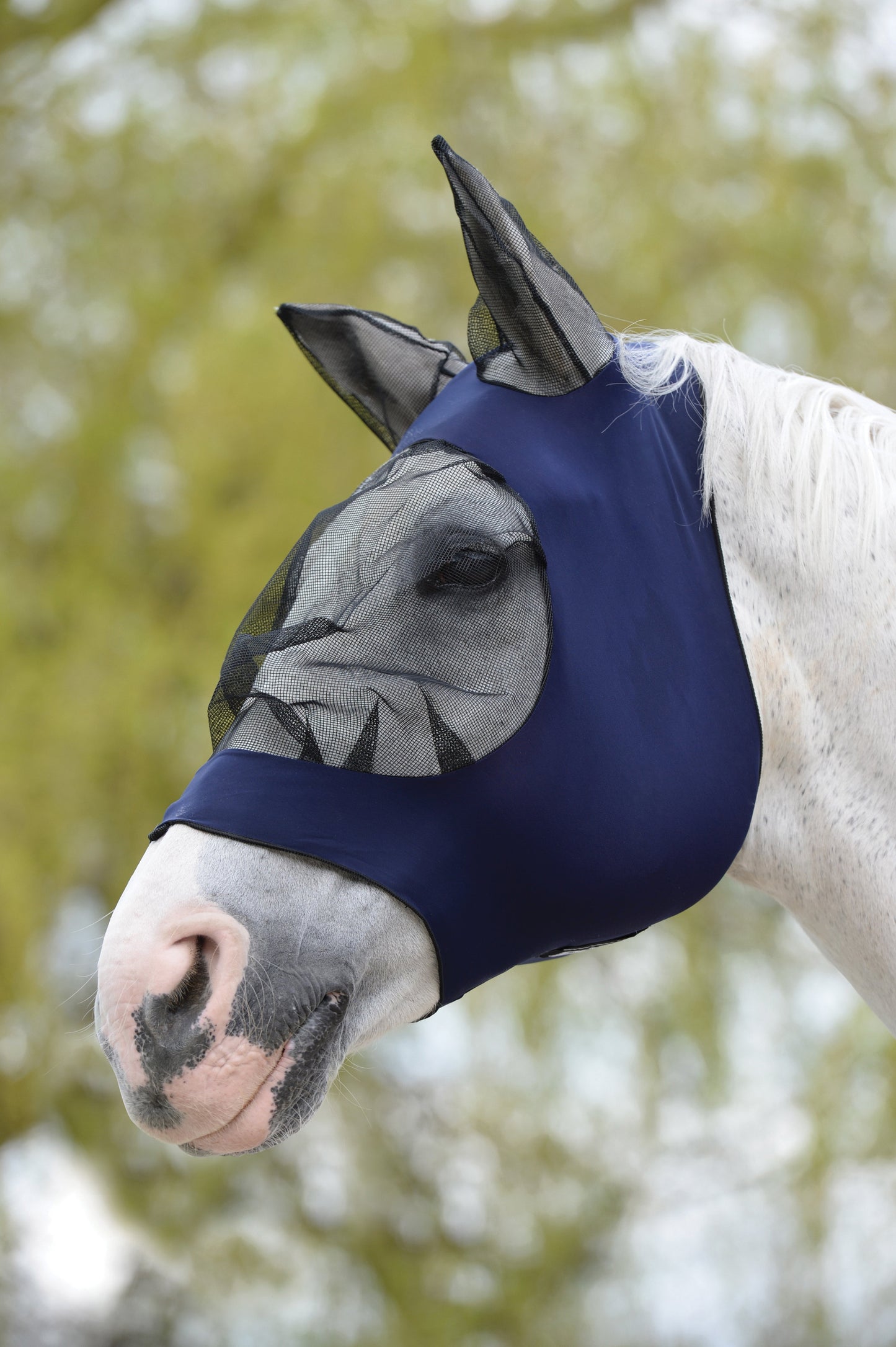 WeatherBeeta Stretch Eye Saver with Ears