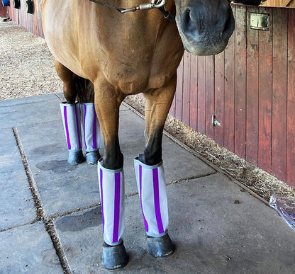 Majyk EquipeFly-Bye Boots Pack of 4