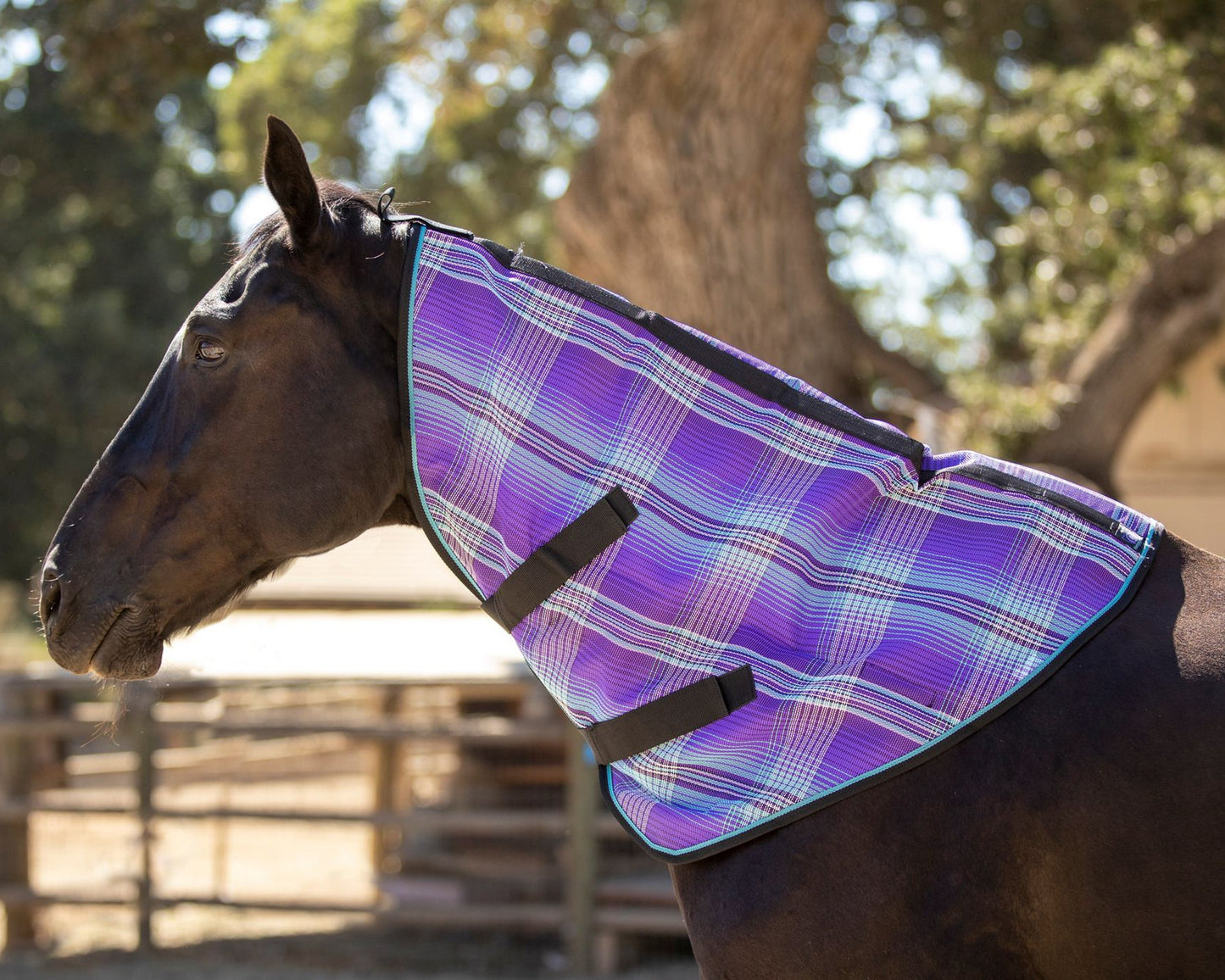 Kensington Textilene Neck Cover