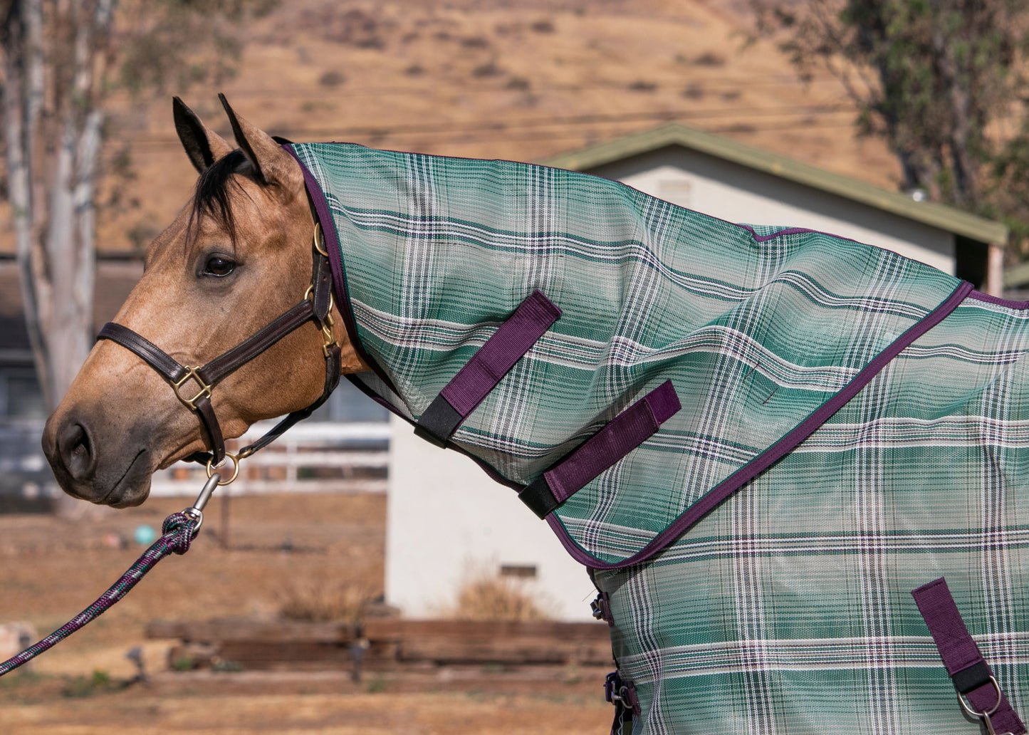Kensington Textilene Neck Cover