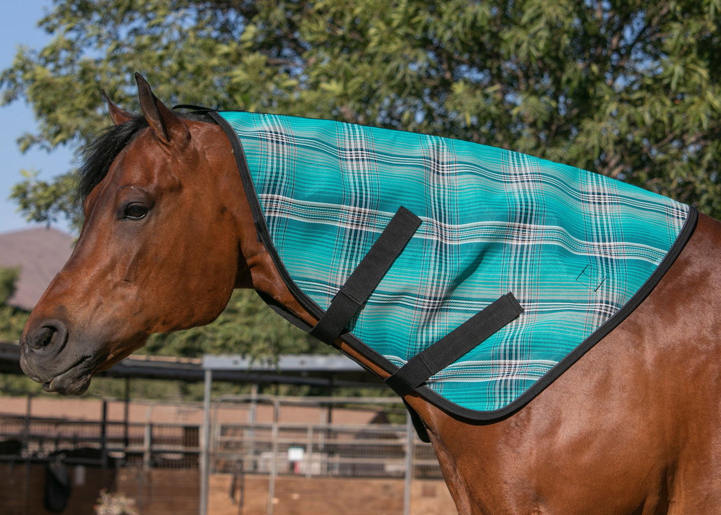 Kensington Textilene Neck Cover