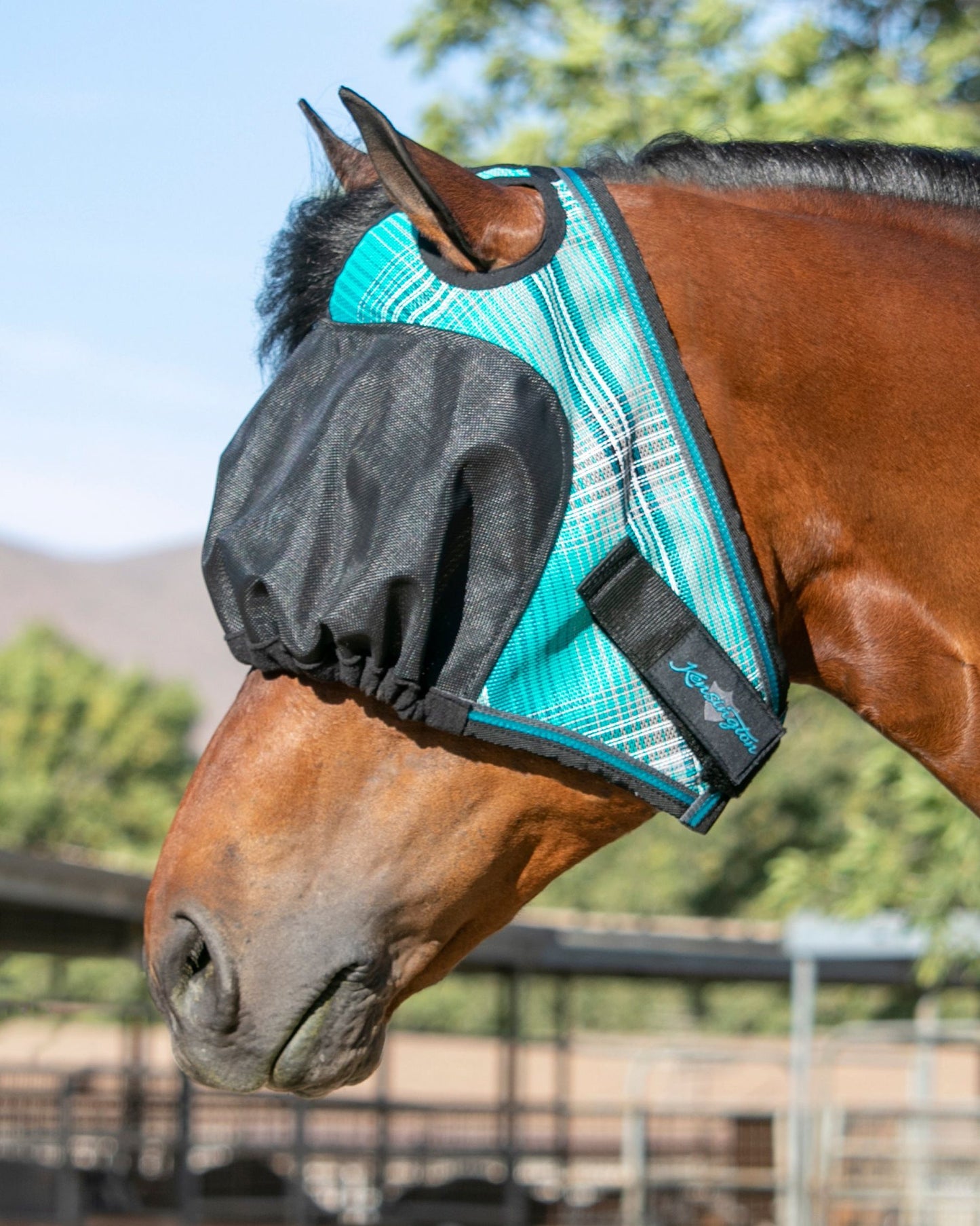 Kensington UViator Dartless Fly Mask with Web Trim & Forelock Opening