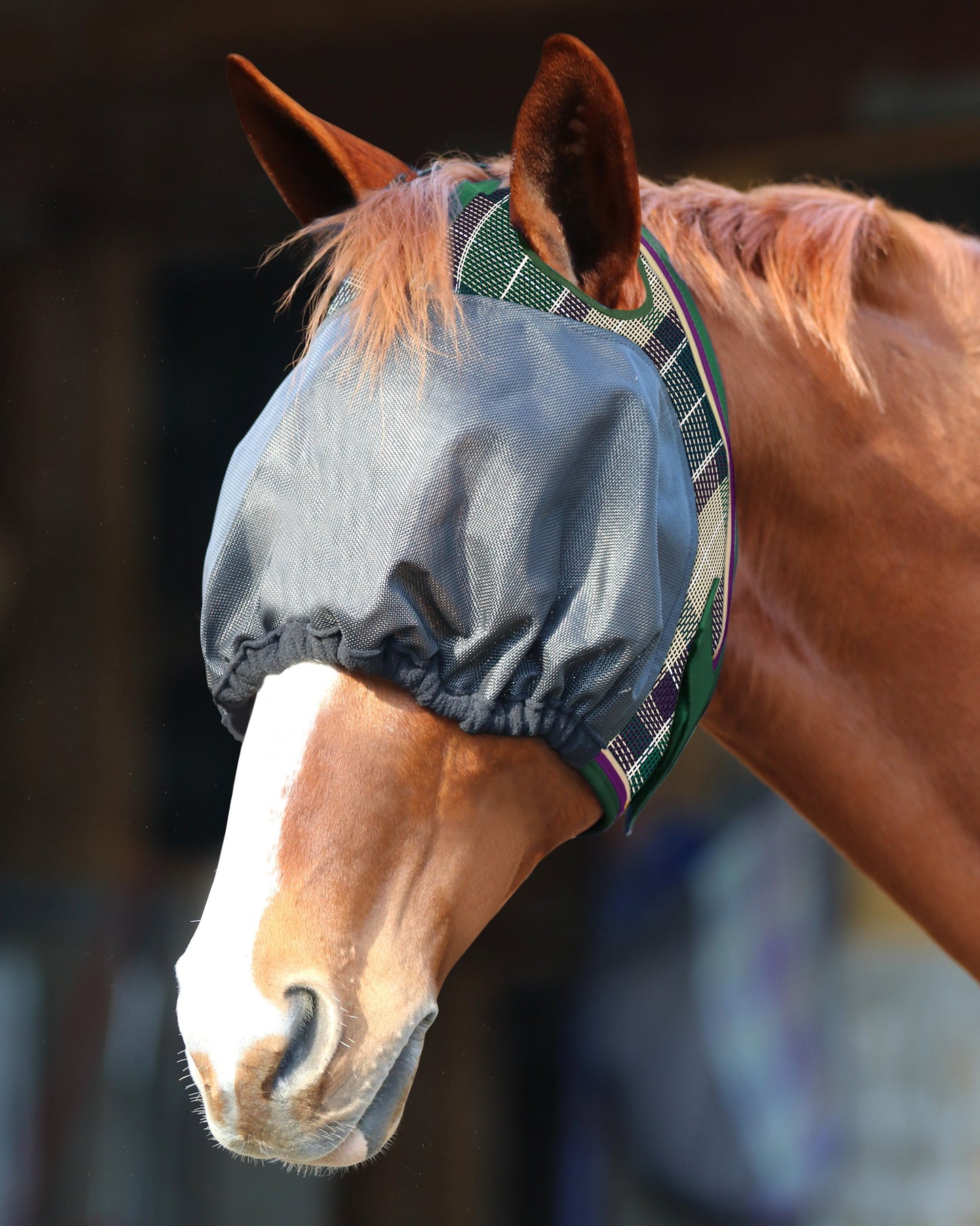Kensington UViator Dartless Fly Mask with Web Trim & Forelock Opening