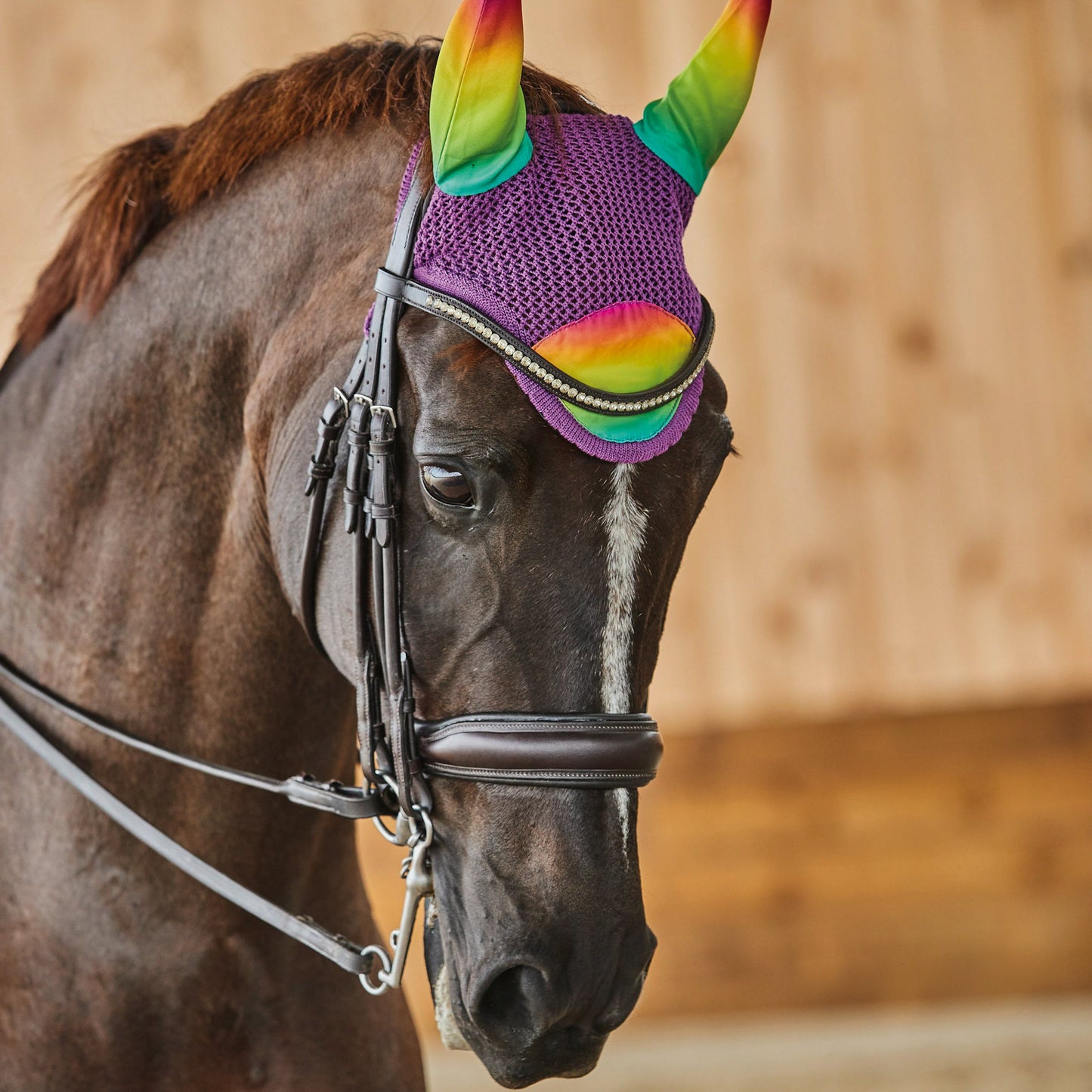 WeatherBeeta Prime Ombré Ear Bonnet