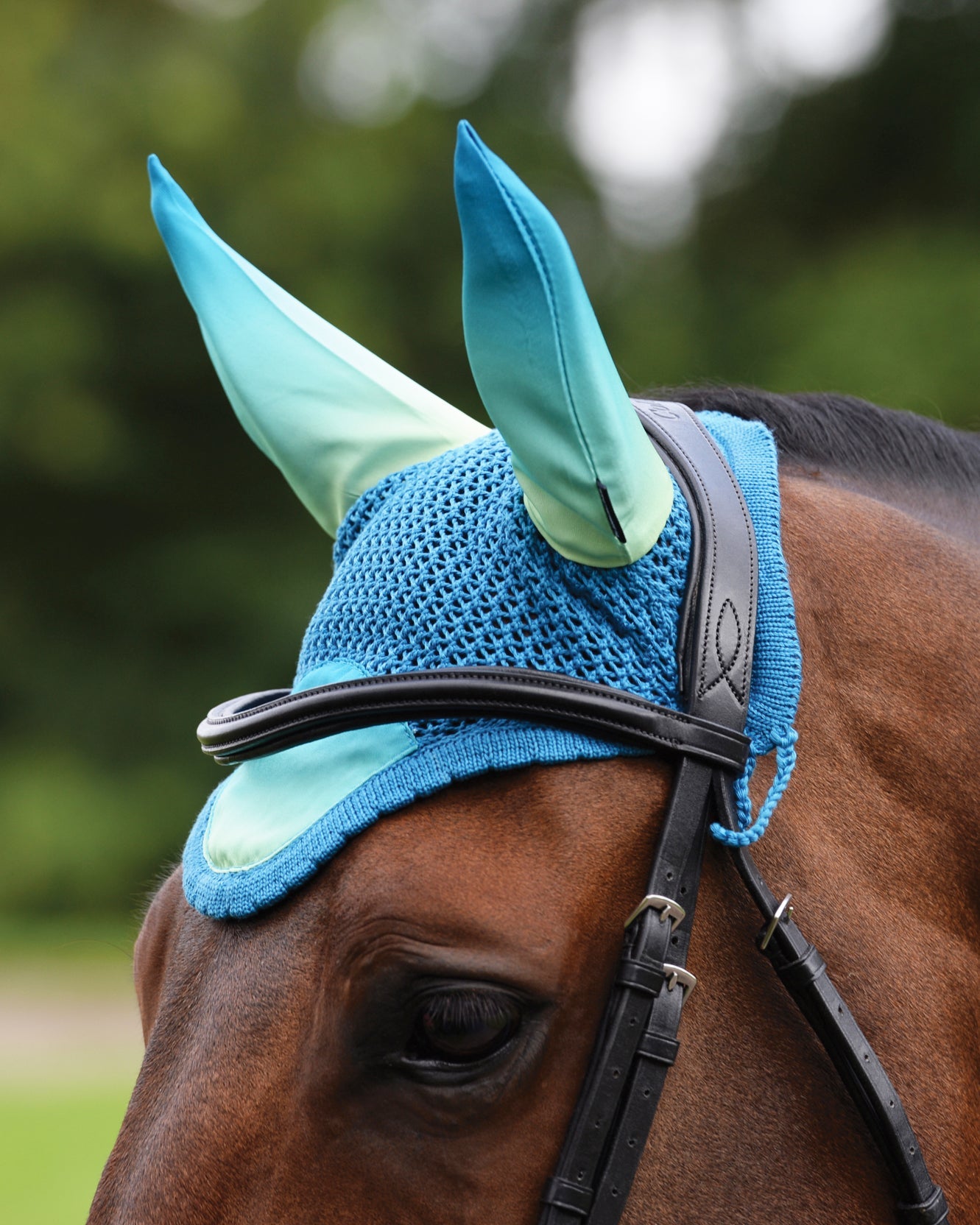 WeatherBeeta Prime Ombré Ear Bonnet