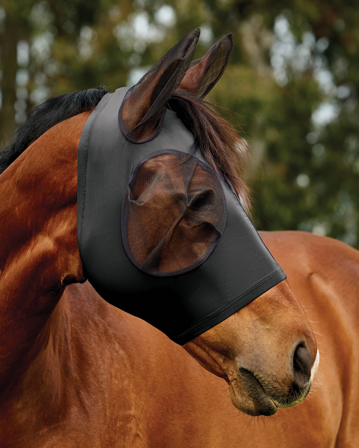 WeatherBeeta Comfitec Deluxe Stretch Fly Mask with Ears