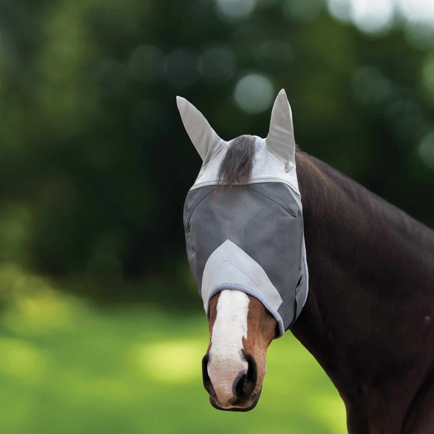 Rider’s International Fly Mask with Ears