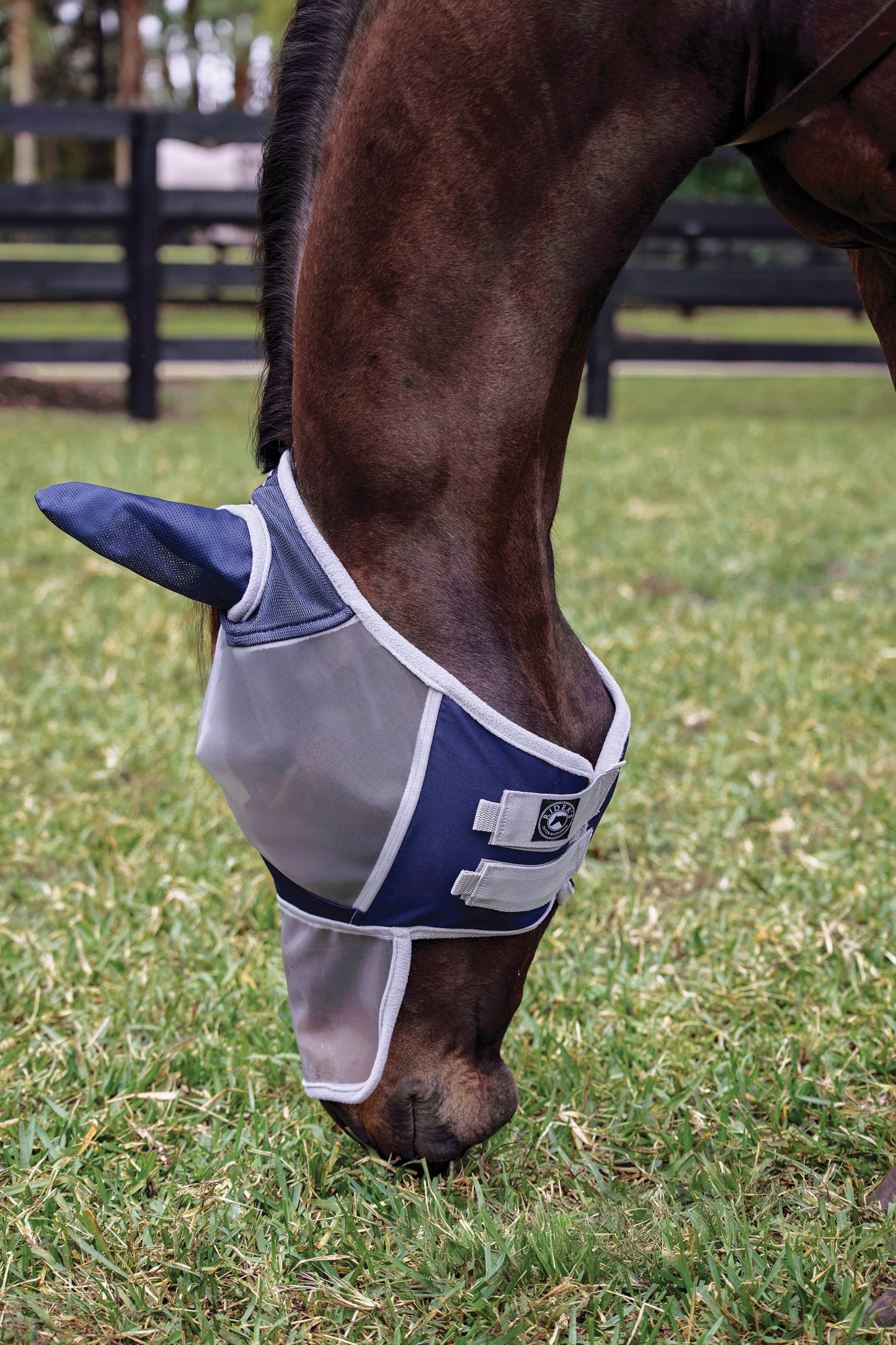 Rider's International Fine Mesh Fly Mask with Ears & Nose