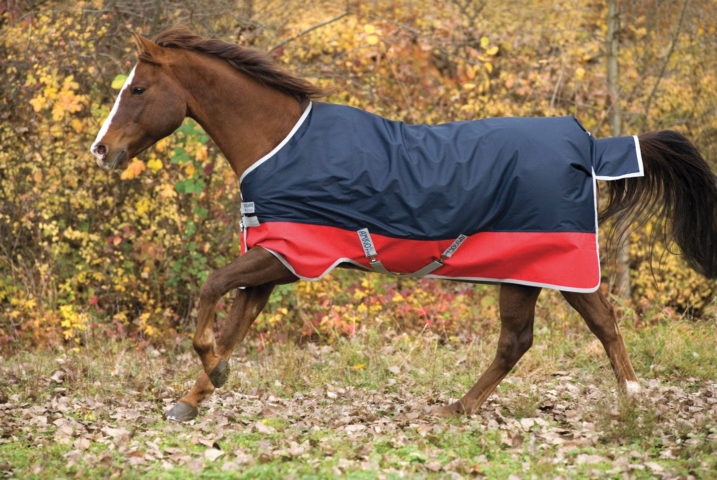 Horseware Ireland Mio Lite Turnout Sheet