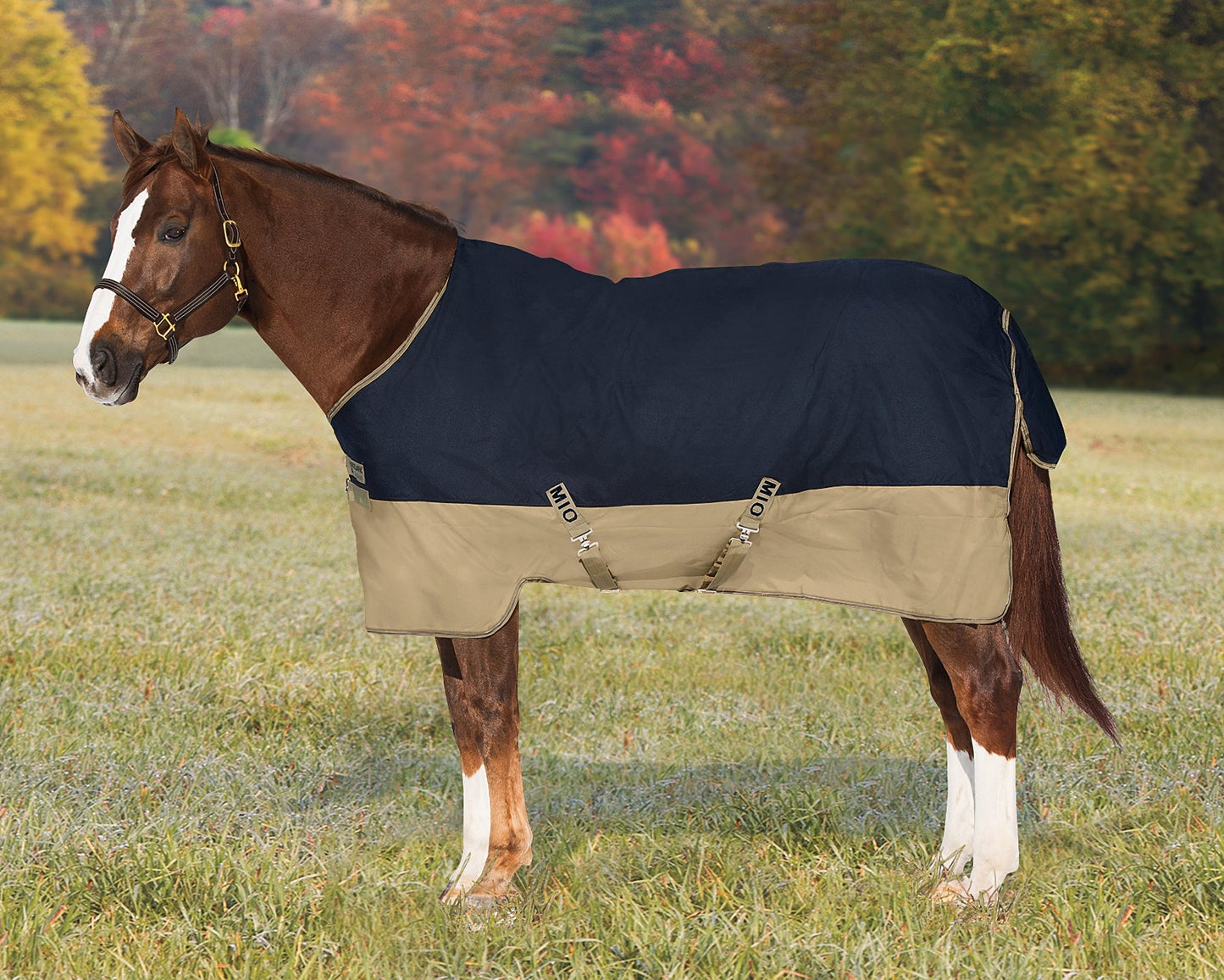 Horseware Ireland Mio Lite Turnout Sheet