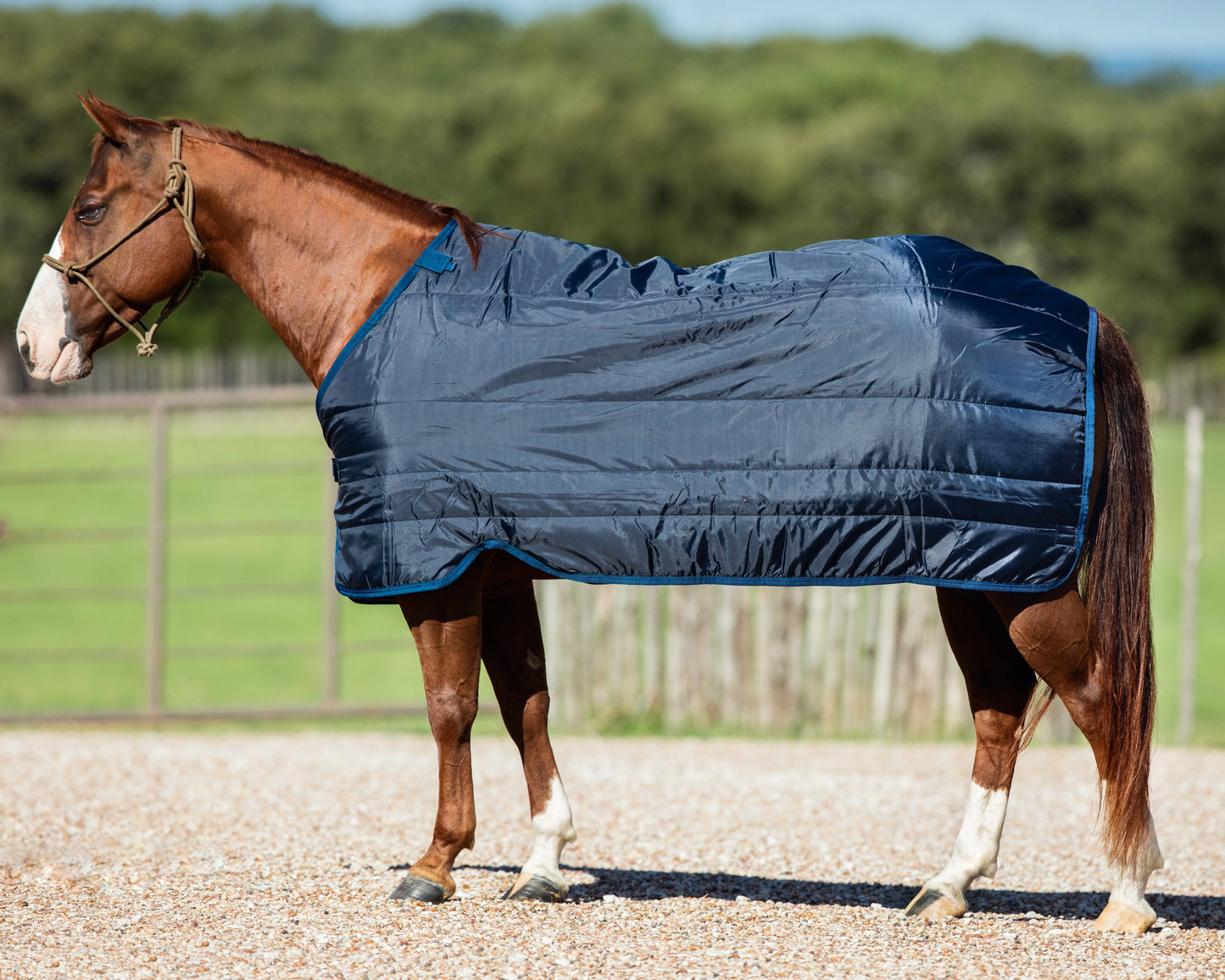 Horseware Ireland 100 Gram Blanket Liner
