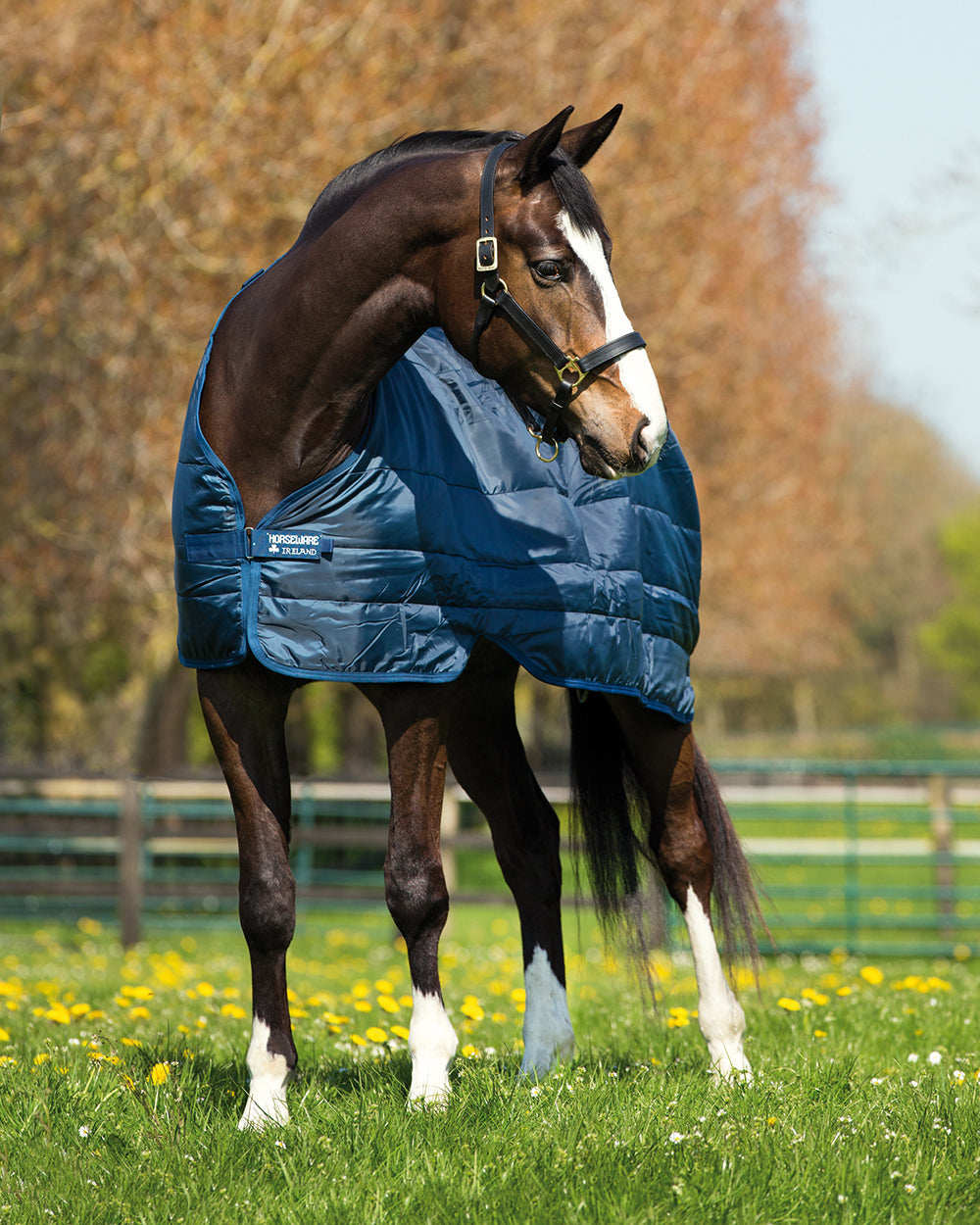 Horseware Ireland 100 Gram Blanket Liner