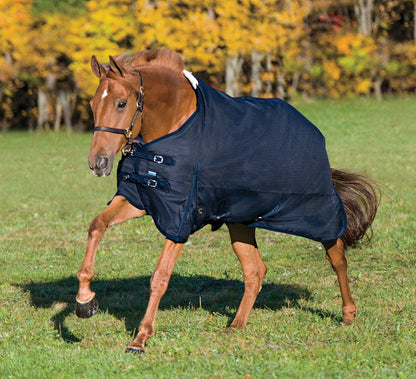 Rider’s International Supreme 100 Gram Turnout Blanket