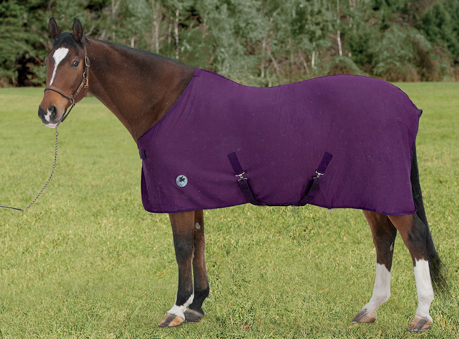 Centaur Turbo-Dry Sheet