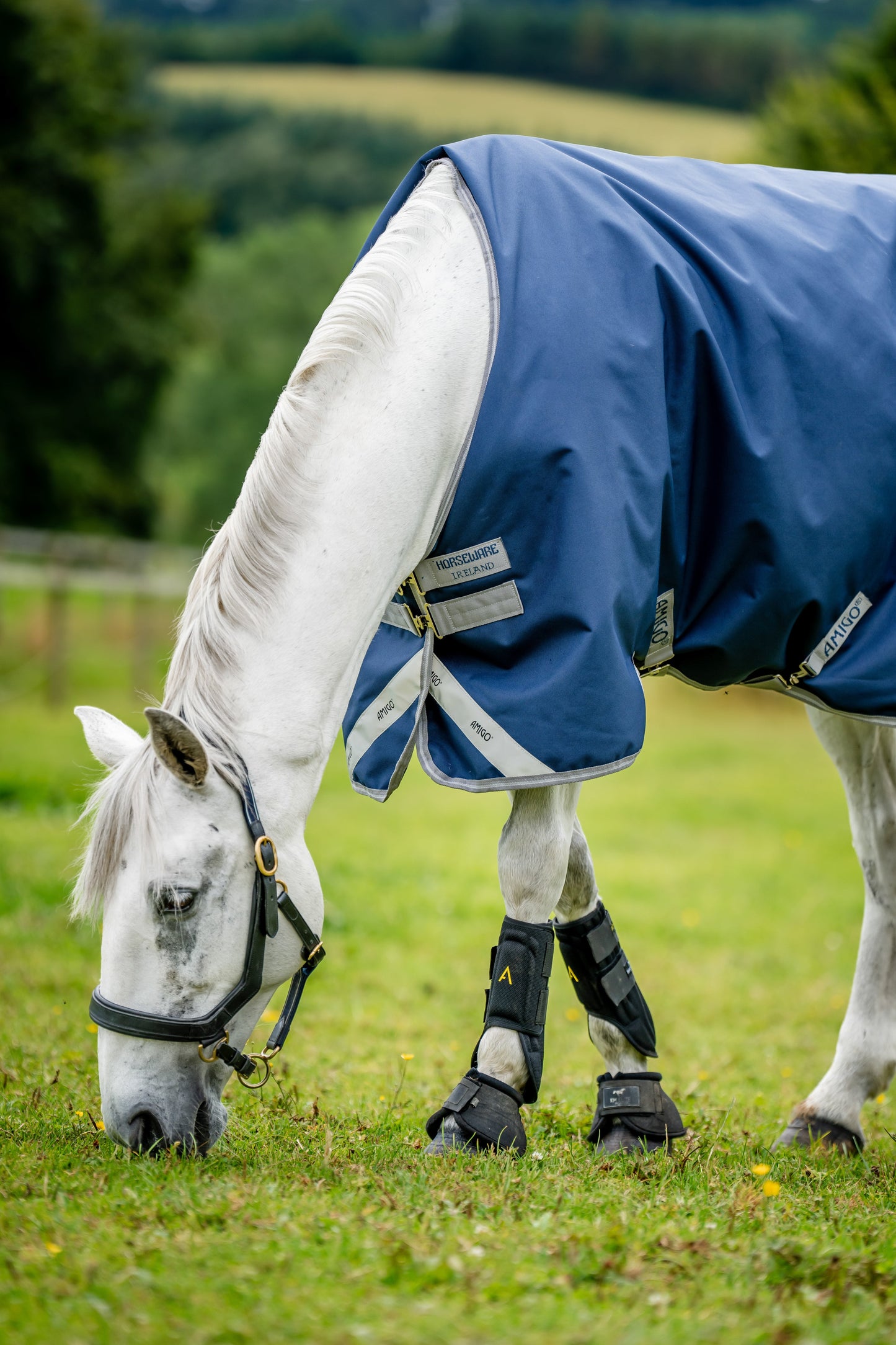 Amigo Bravo 12 Semi-Lite Weight Turnout Blanket