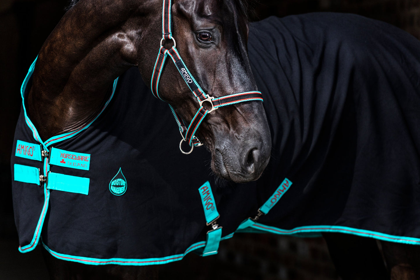 Horseware Ireland Amigo Stable Sheet