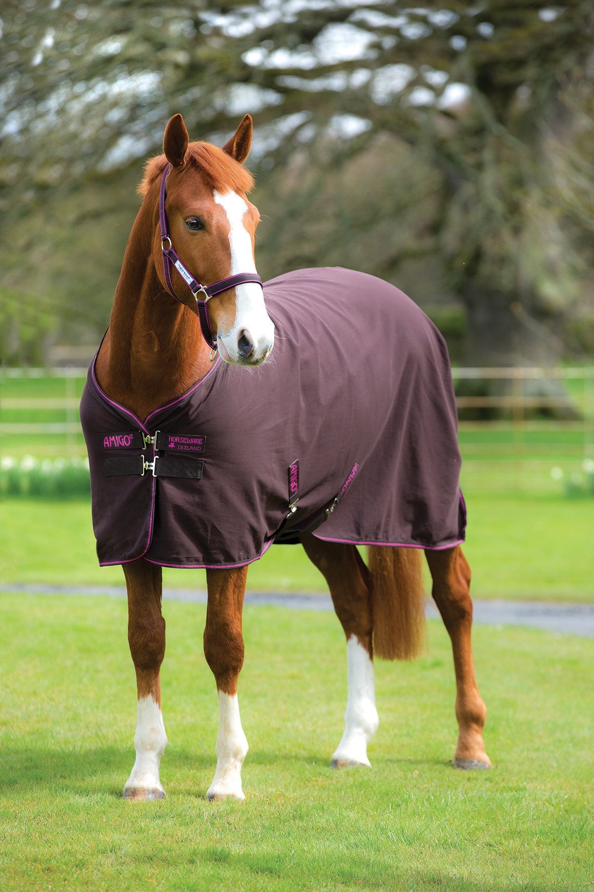 Horseware Ireland Amigo Stable Sheet