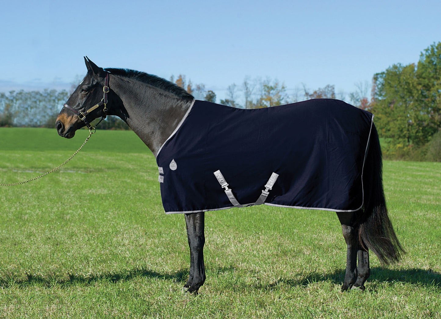Horseware Ireland Amigo Stable Sheet