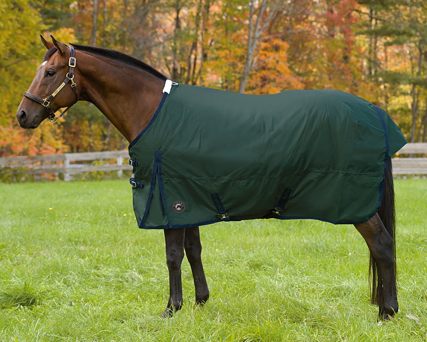 Rider’s International Supreme Medium-Weight Turnout Blanket