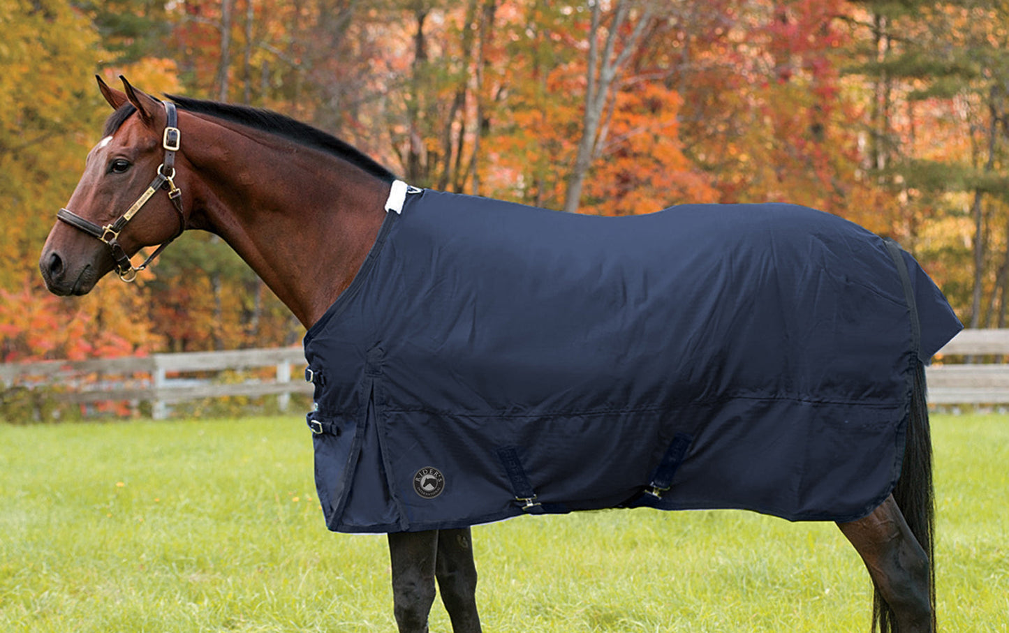 Rider’s International Supreme Medium-Weight Turnout Blanket