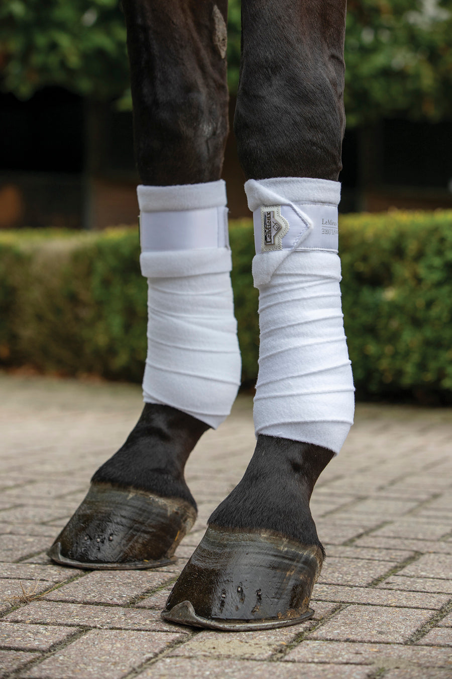 LeMieux Loire Polo Bandages