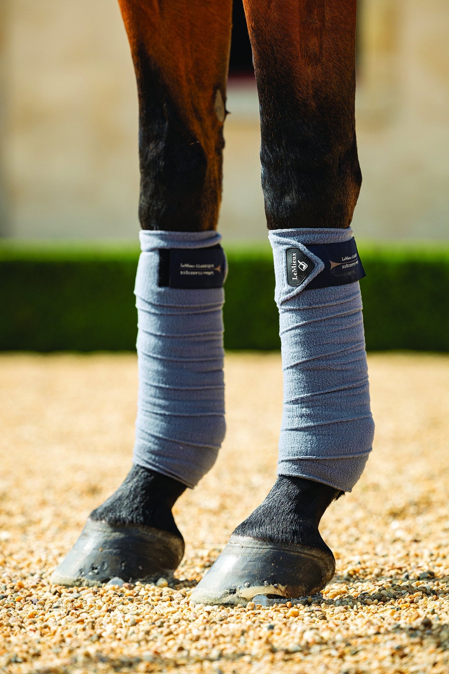 LeMieux Classique Polo Wraps