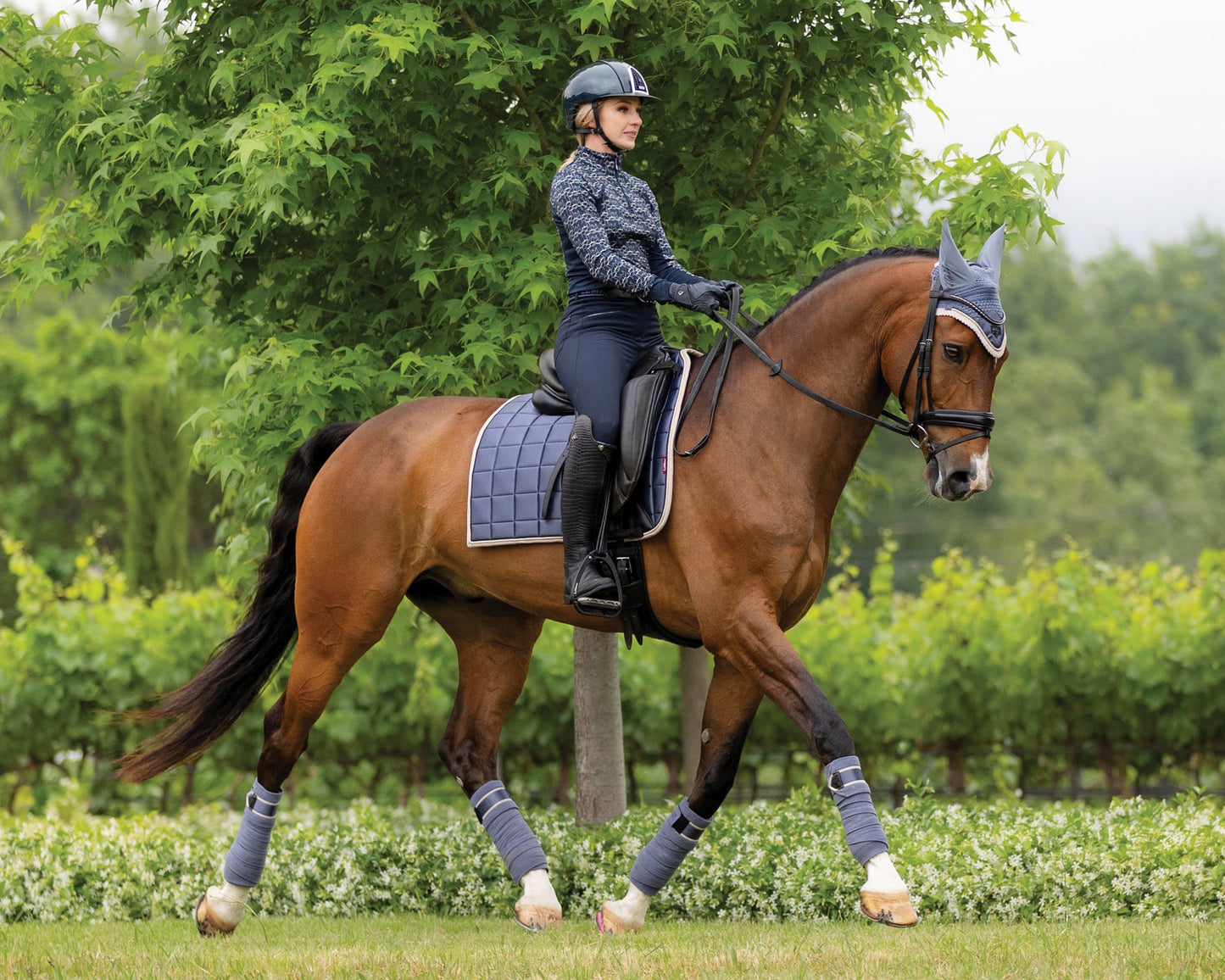 LeMieux Loire Polo Wraps