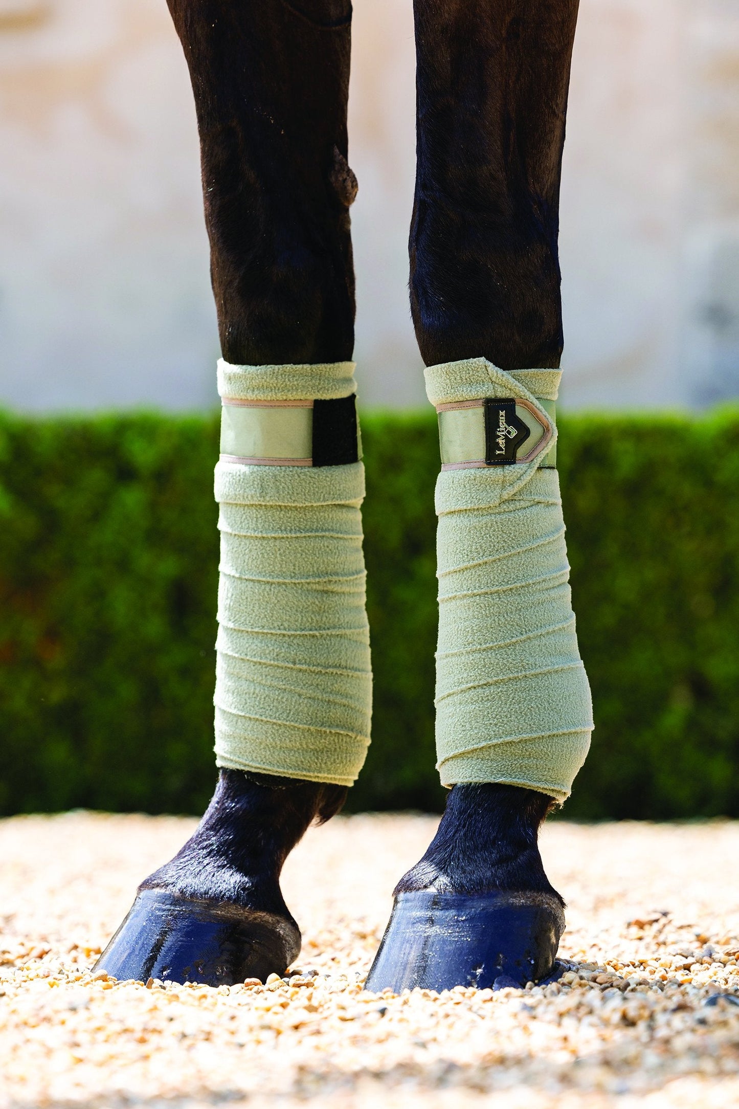 LeMieux Loire Polo Wraps