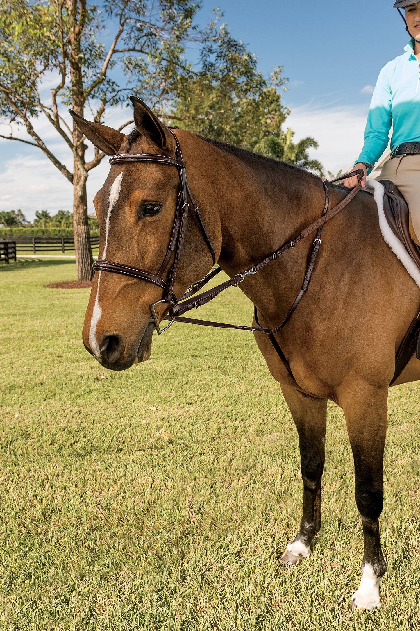 Walsh German Martingale