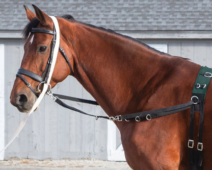 Suffolk Side Reins with Elastic