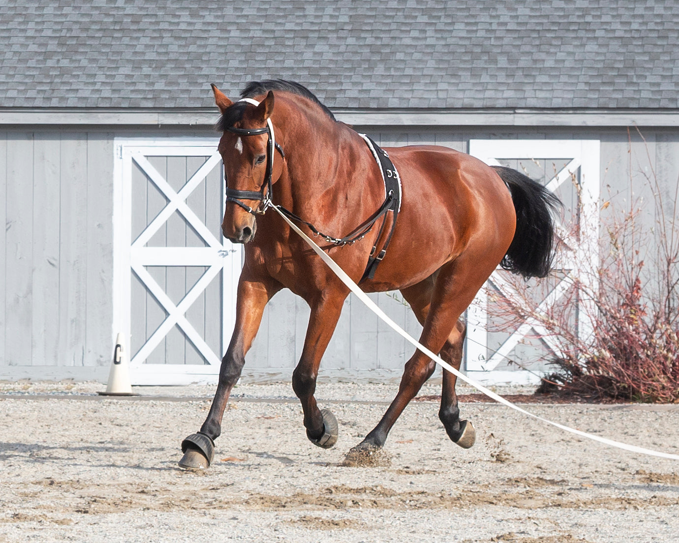 Suffolk Side Reins with Elastic