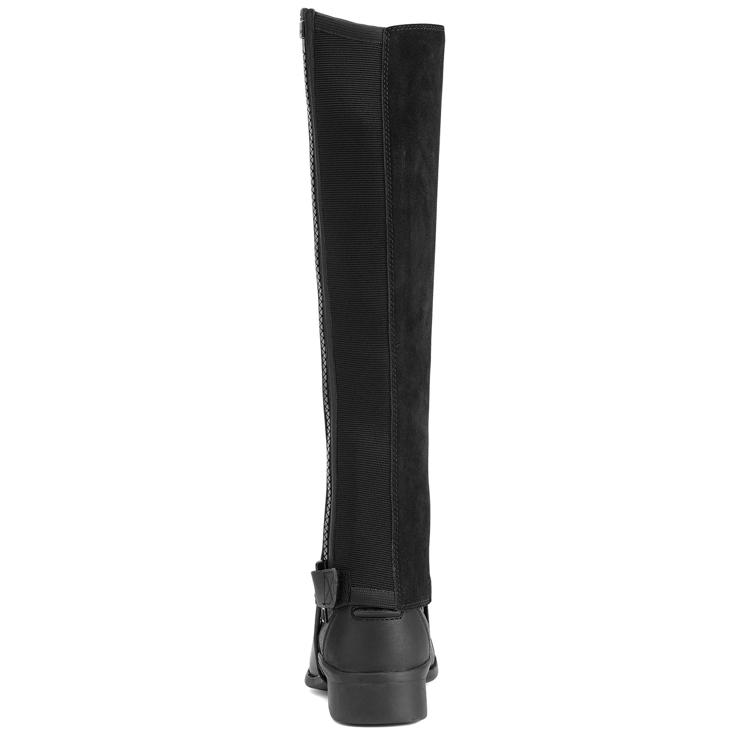 Ariat Scout Half Chap