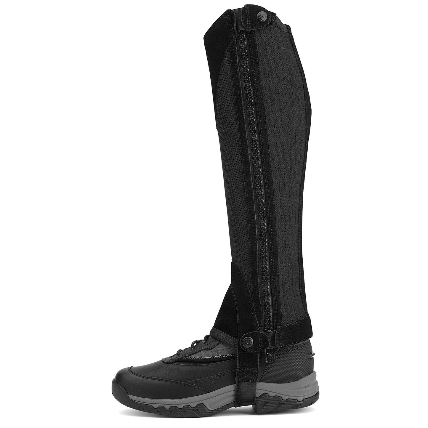 Ariat Terrain II Half Chap