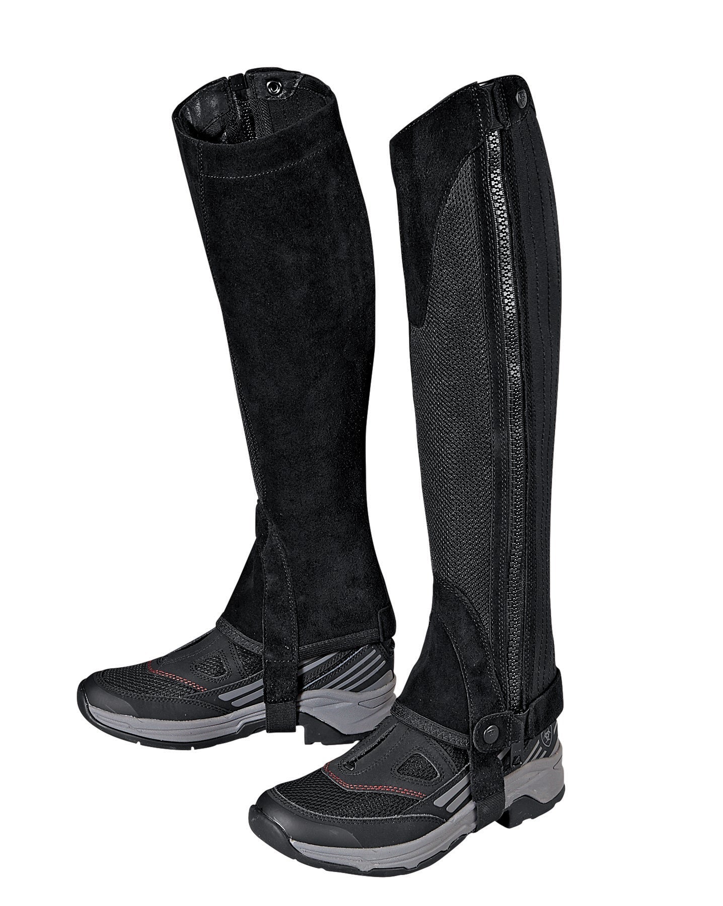 Ariat Terrain II Half Chap