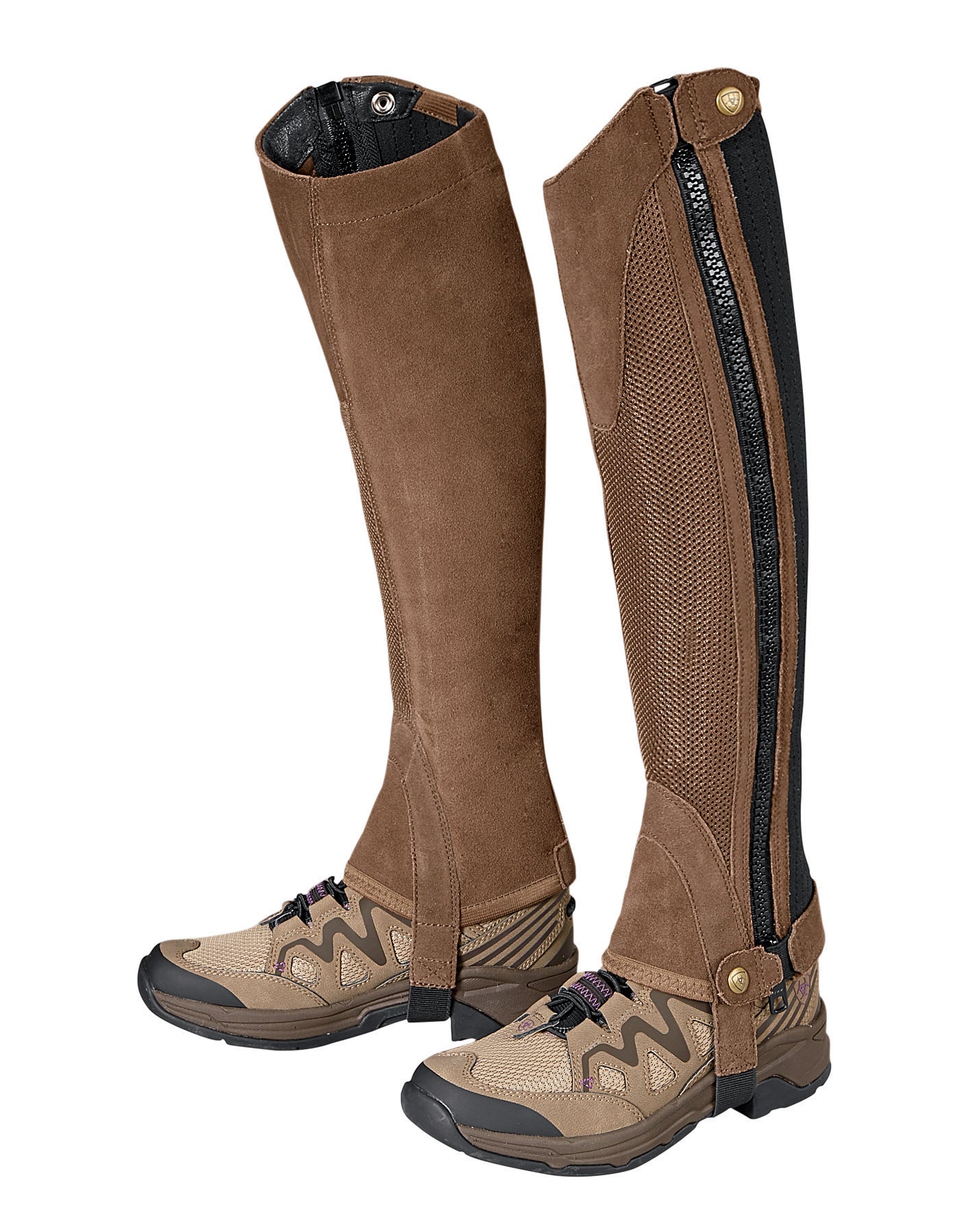 Ariat Terrain II Half Chap