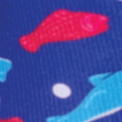 Dreamers and Schemers Pair and a Spare Socks