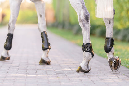 EquiFit Eq-Teq Hind Boots