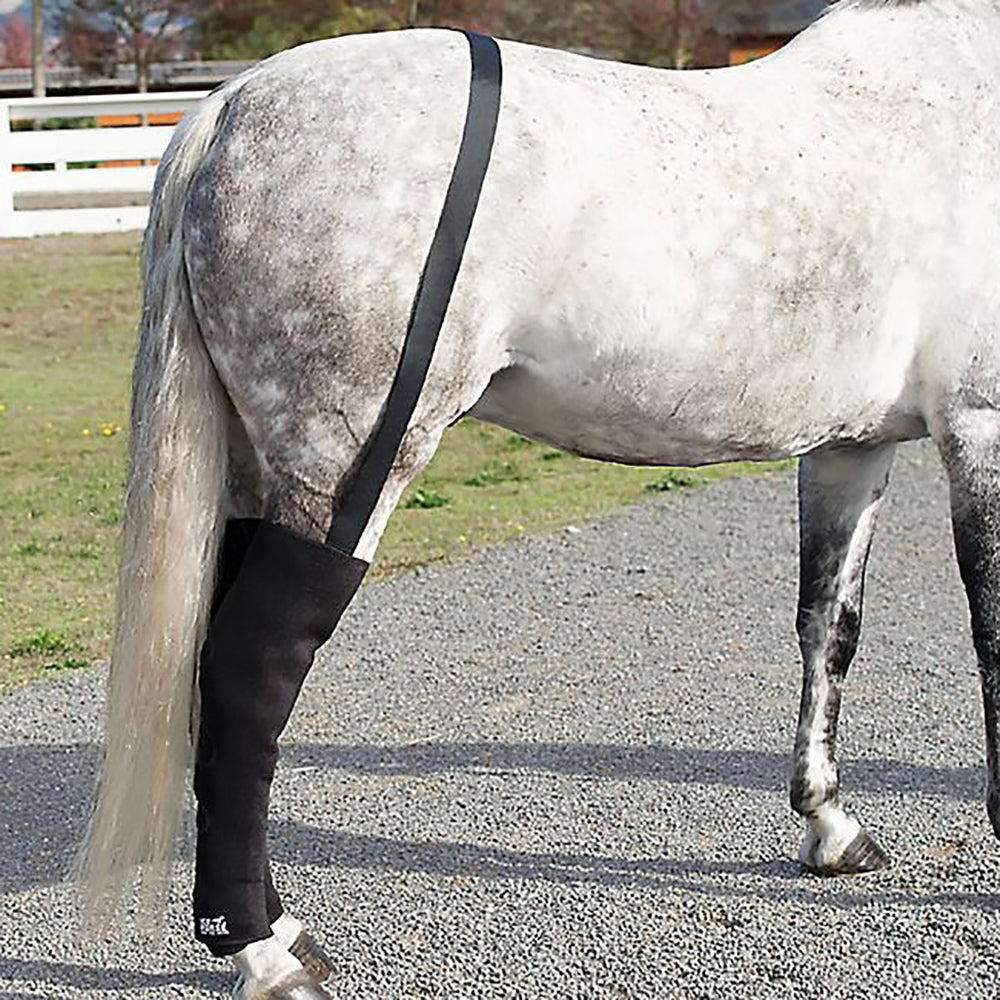 Ice Horse Full Hind Leg Wrap Pair with Suspender Strap