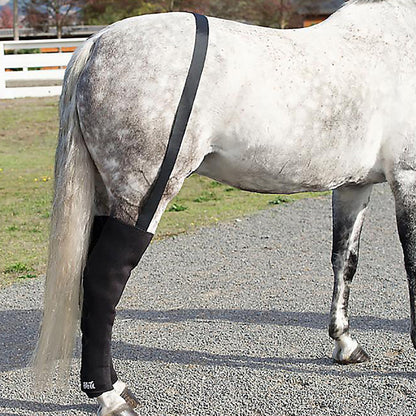 Ice Horse Full Hind Leg Wrap Pair with Suspender Strap