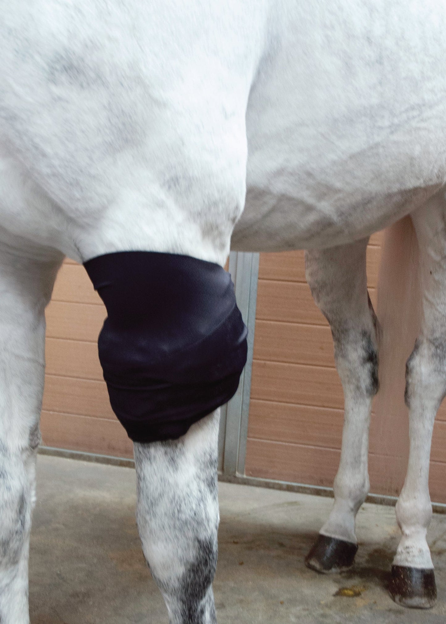 Ice Horse All-Purpose Wrap